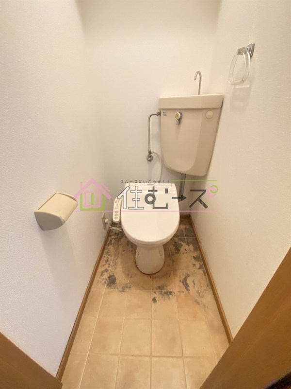 PLANEX-3 Sun-Rise その他6