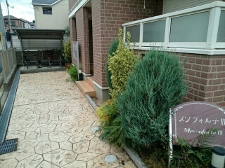 メゾフォルテⅡ その他7