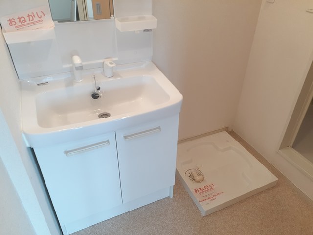 オリーブ その他2