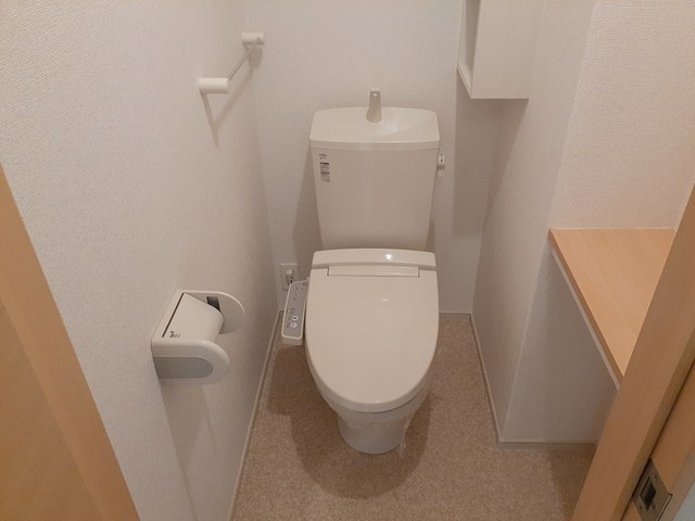 オリーブ その他3