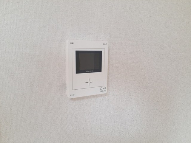 オリーブ その他5