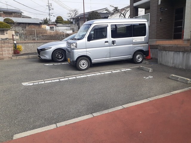 オリーブ その他6