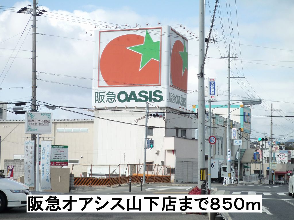 オリーブ その他外観4