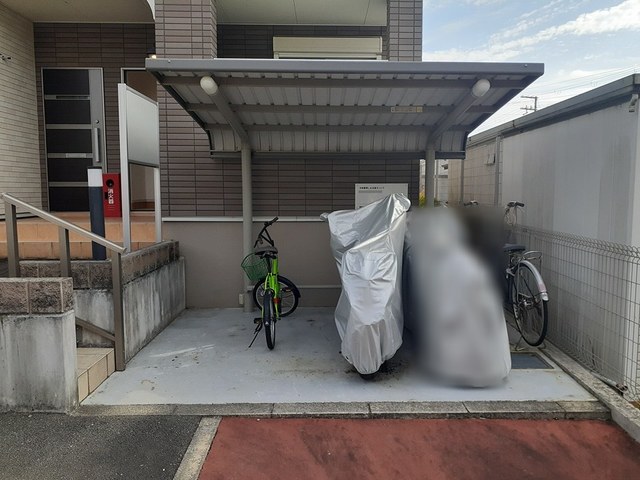 オリーブ その他7