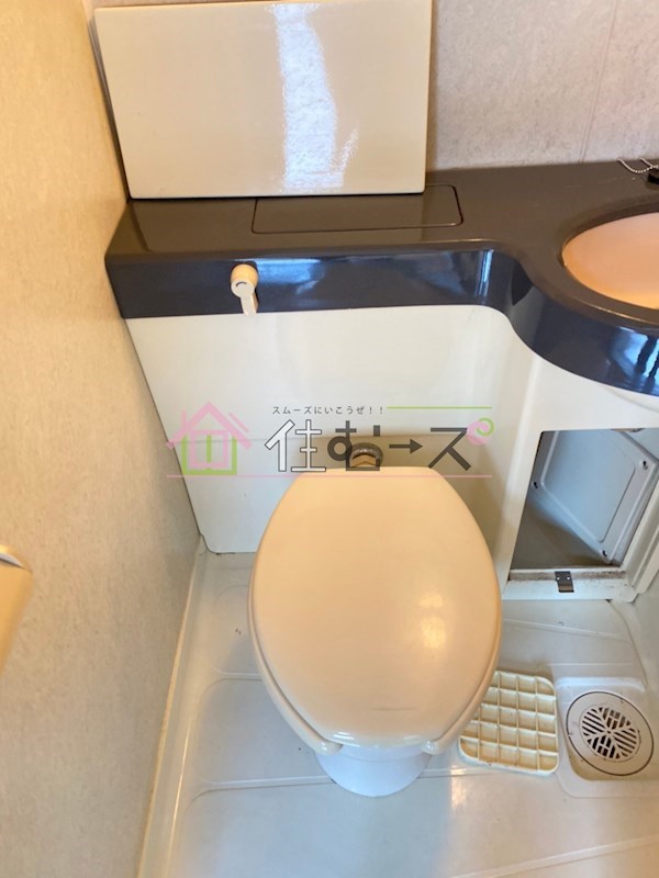 ソレイユ朝潮 その他2