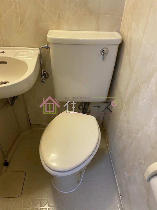 シロハイヌ新大阪 その他2