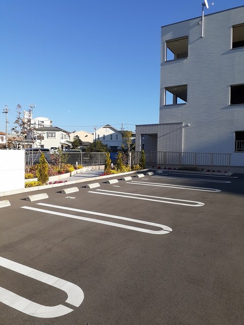 パンプキン　クィーン その他6