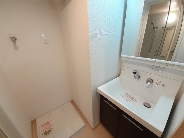 プリマヴェーラ その他1