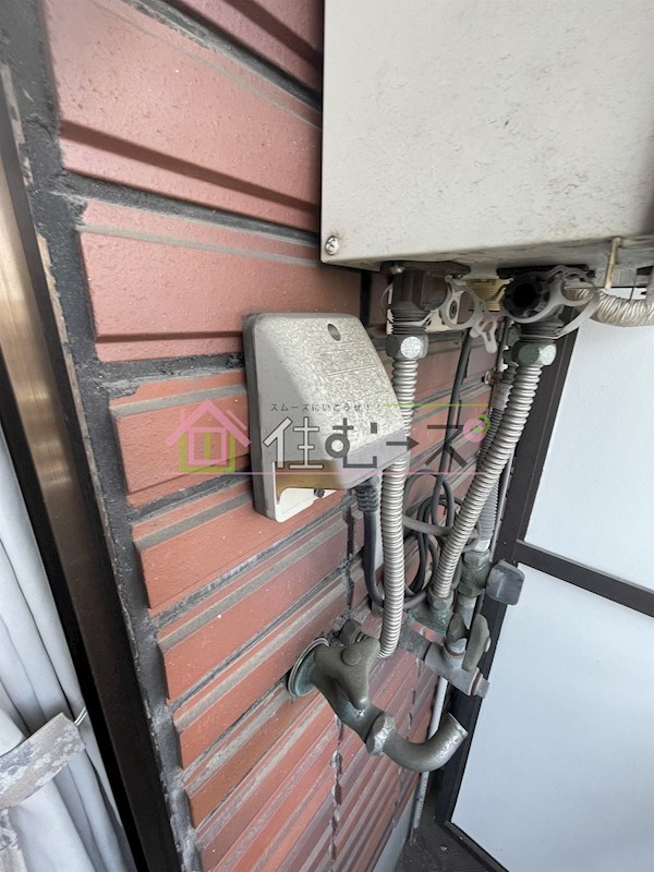 ルネッサンスシャレード  その他2