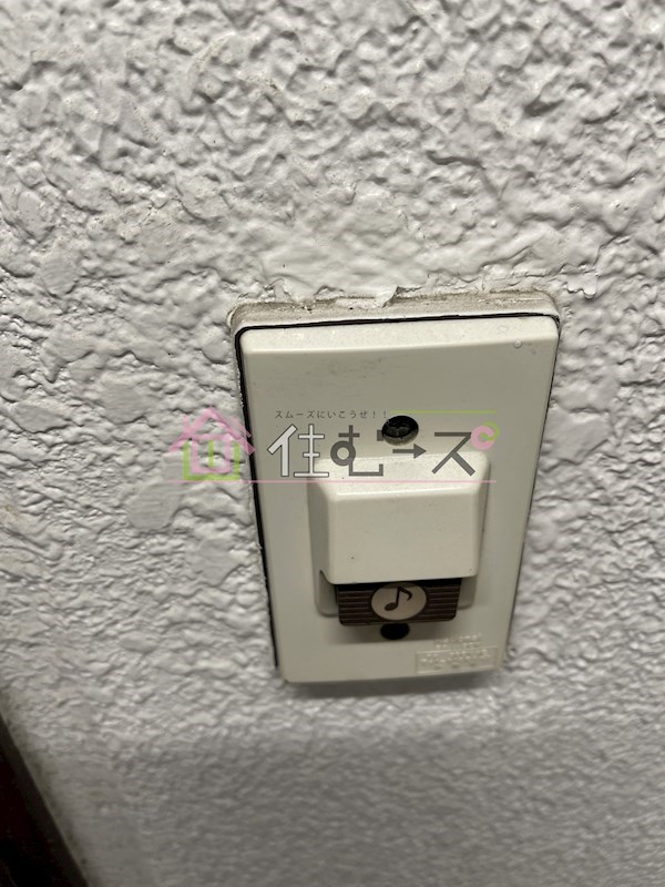 ルネッサンスシャレード  その他3