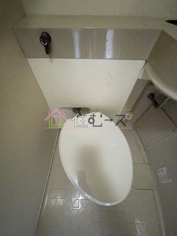 ルネッサンスシャレード  その他4