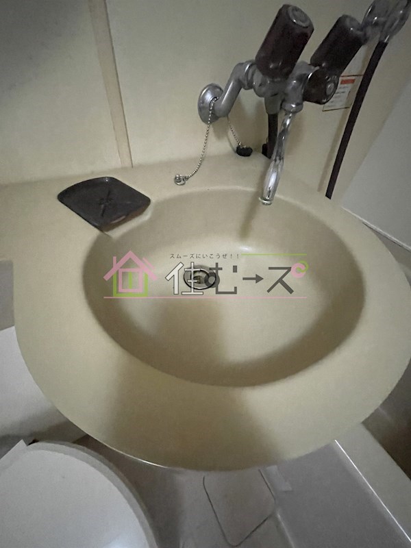 ルネッサンスシャレード  その他5