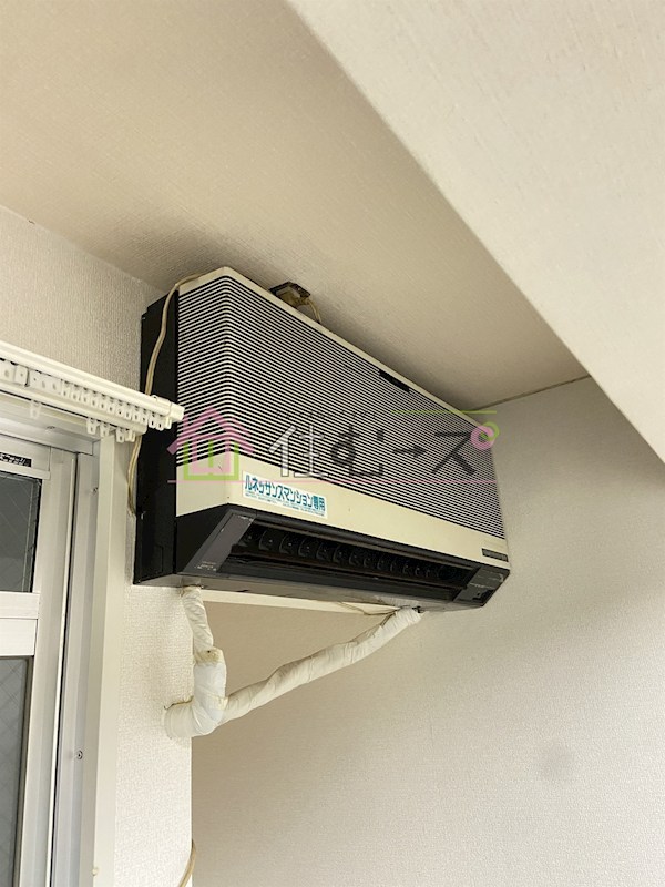 ルネッサンスエレガンス その他2