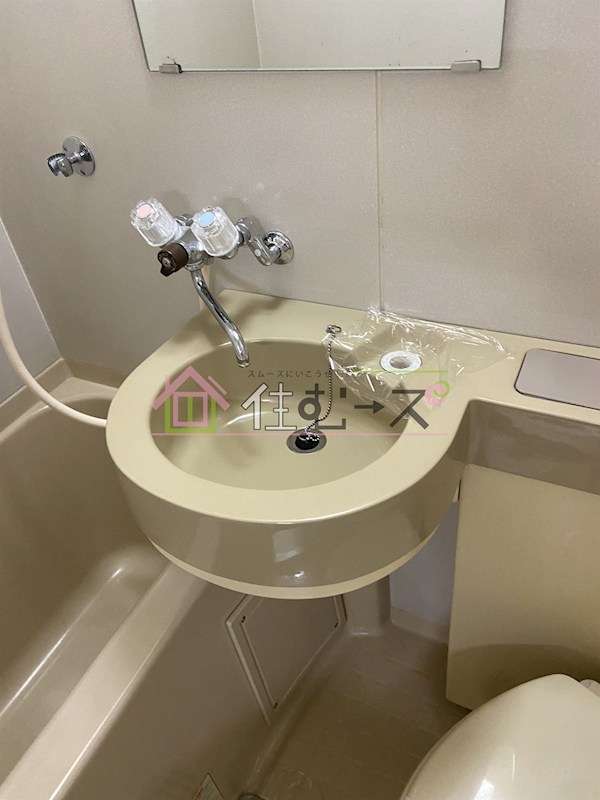 ルネッサンスエレガンス その他3