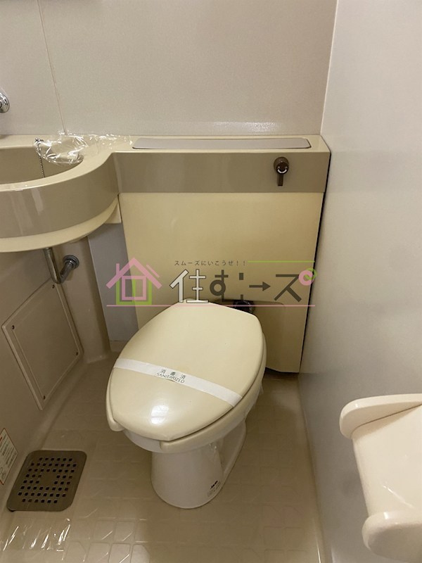 ルネッサンスエレガンス その他5