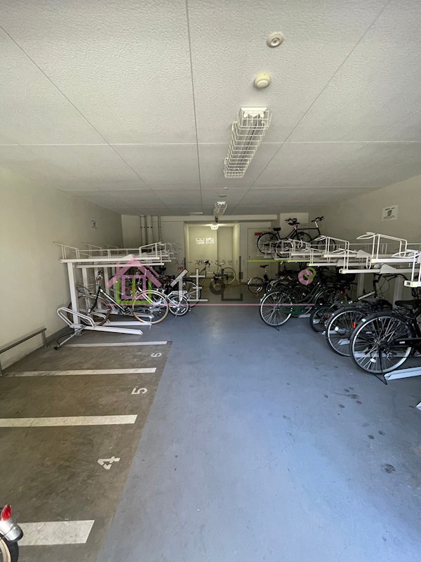 レオンコンフォート谷町六丁目 その他外観6