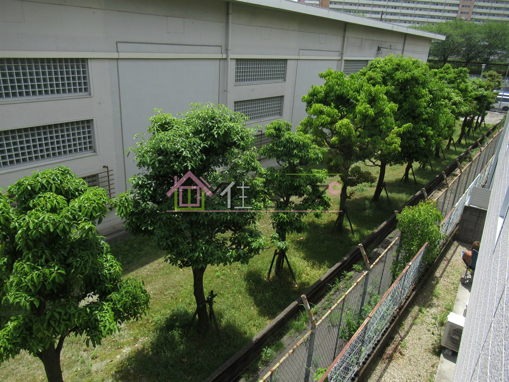 秋桜 その他外観3