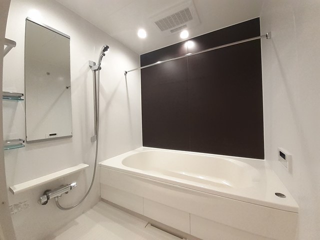 Ｃｏｚｕｍｅｌ（コスメル） その他1