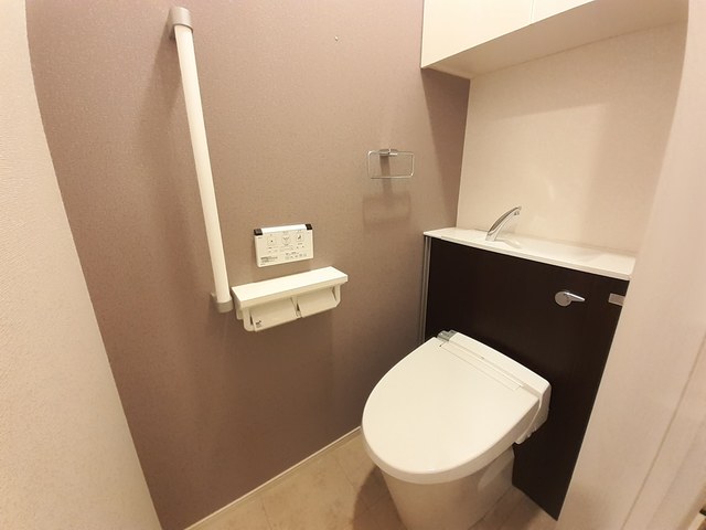 Ｃｏｚｕｍｅｌ（コスメル） その他6