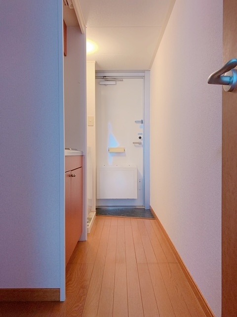 レオパレスアクティⅡ 玄関