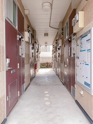 レオパレスアクティⅡ その他16