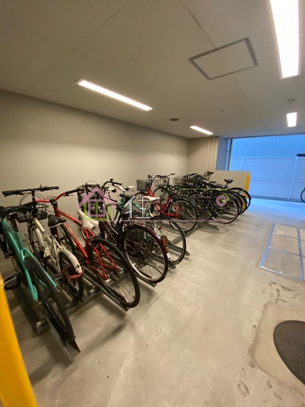 エグゼリエみなと通り その他外観4