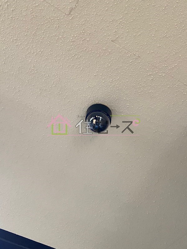 シャトー野江 その他外観4