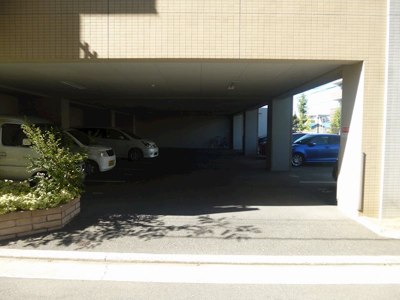 ﾒｿﾞﾝﾌﾟﾁﾁｪﾘｰ その他外観2