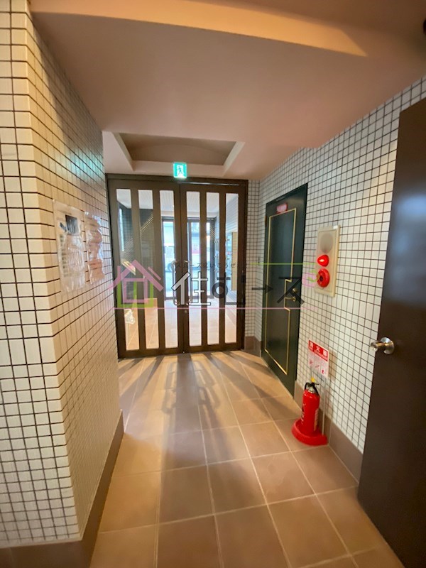 ドームⅡ その他外観2