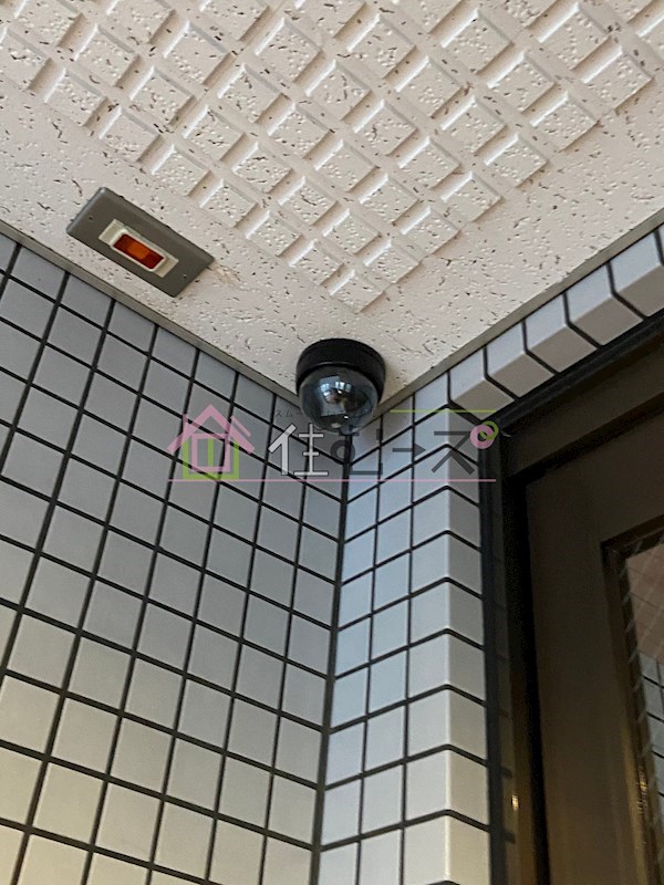 ドームⅡ その他外観4