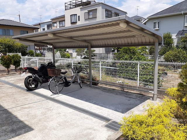 ＣＯＣＯＬＵＡＮＡ・Ｋ　Ⅱ その他7