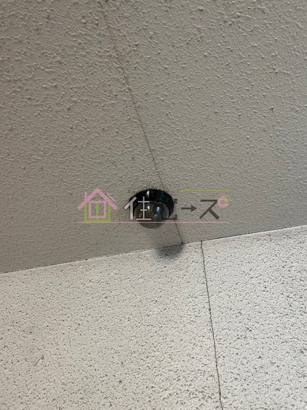 新深江橋ハイツ その他外観4