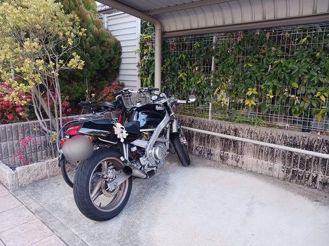 ダイアナ　レイク その他6