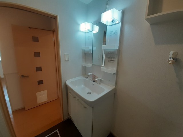 ブル－ロ－ズ その他1