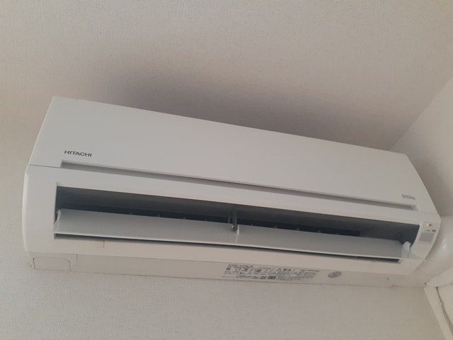 ブル－ロ－ズ その他3