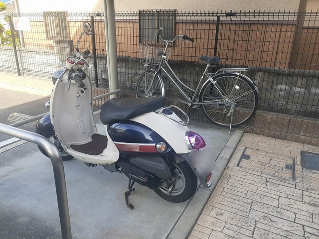 ブル－ロ－ズ その他6