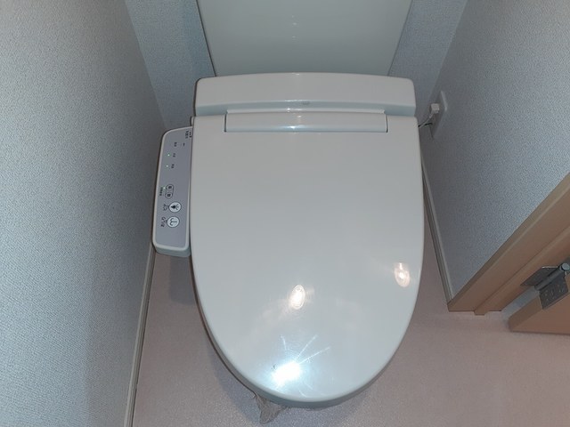 カルム　エレガンス その他2