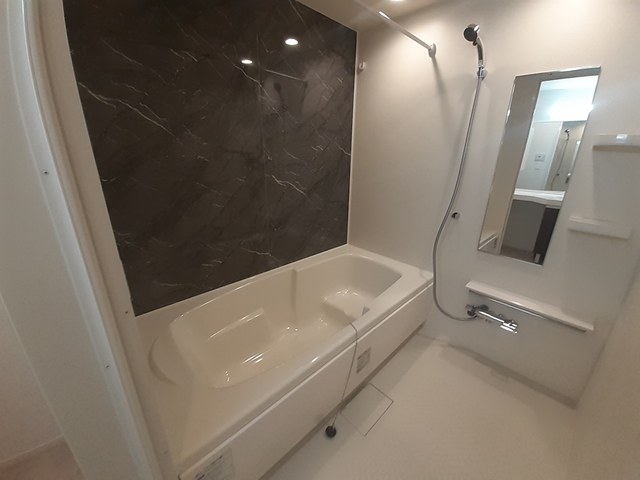 エレガント茱萸木Ⅲ 風呂画像