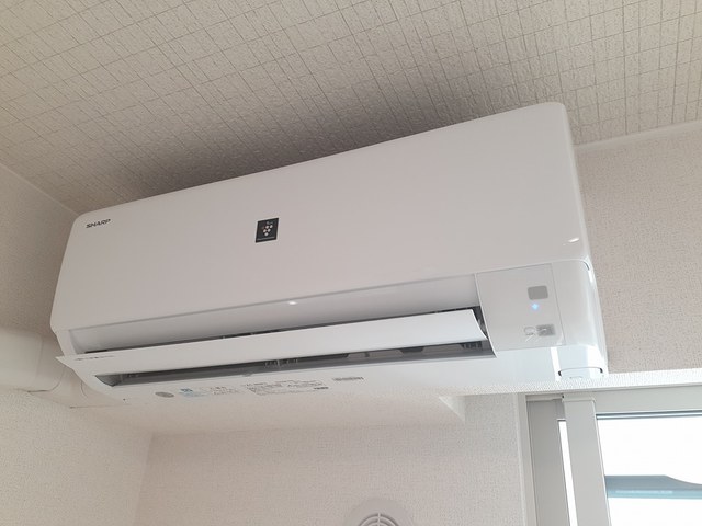 &#12486;&#12451;&#12540;&#12474;&#12288;&#12459;&#12540;&#12469;&#12477;&#12524;&#12450;&#12540;&#12489;&#8545; &#12381;&#12398;&#20182;4