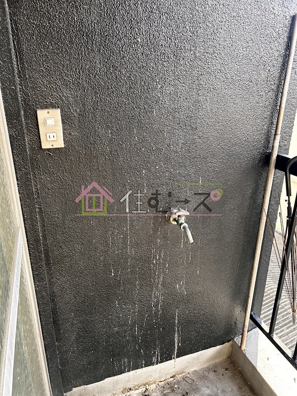 大和川パピレス その他6