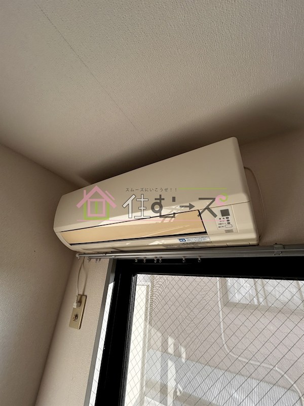 メゾンドールバンブーグラス その他2