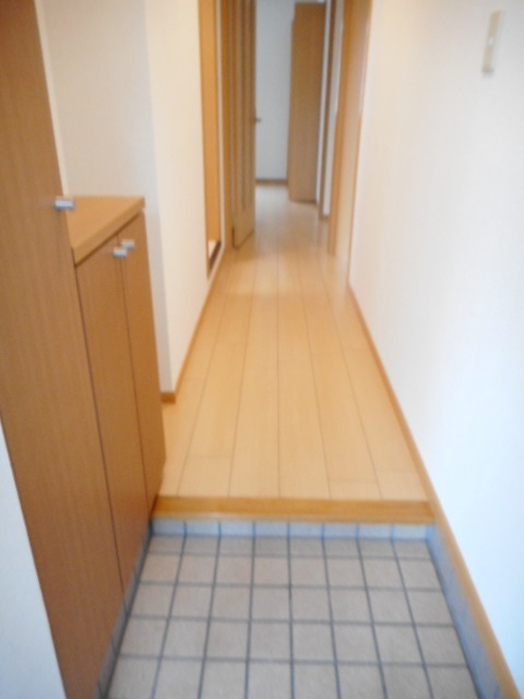 ドゥーソレールⅠ 玄関