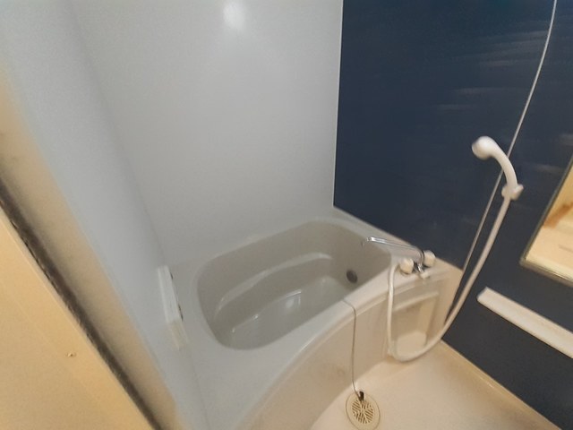 ピュア　ファウンテン　ヴィラⅢ 風呂画像