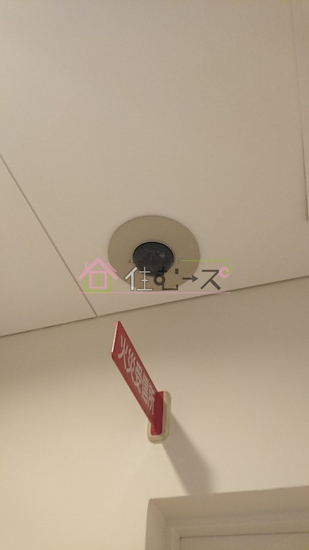 ステュディオ新御堂 その他外観5