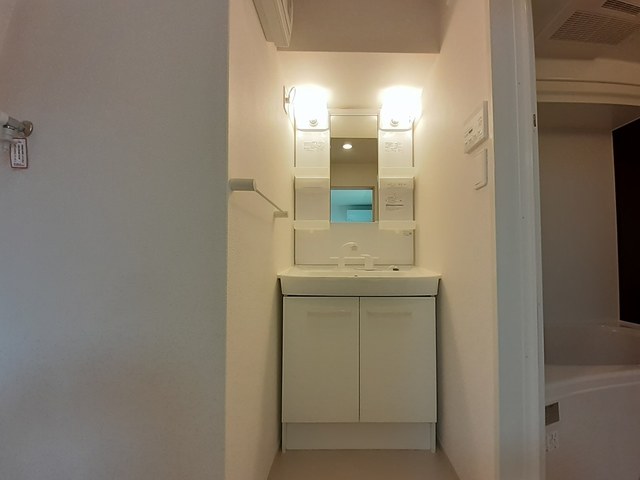 カメリア　サザンカ その他1