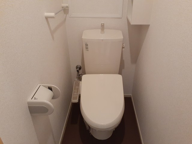 カメリア　サザンカ その他2