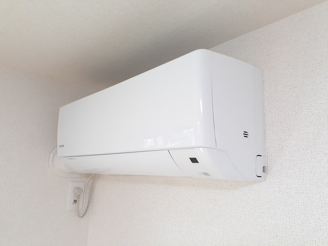 カメリア　サザンカ その他3