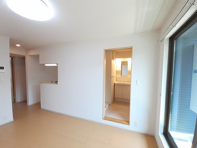 カメリア　サザンカ その他5