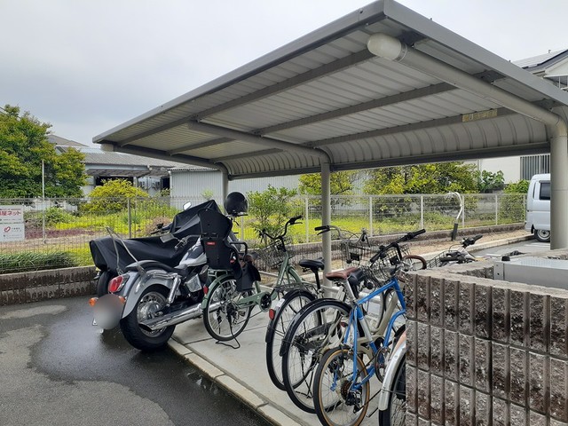 カメリア　サザンカ その他6