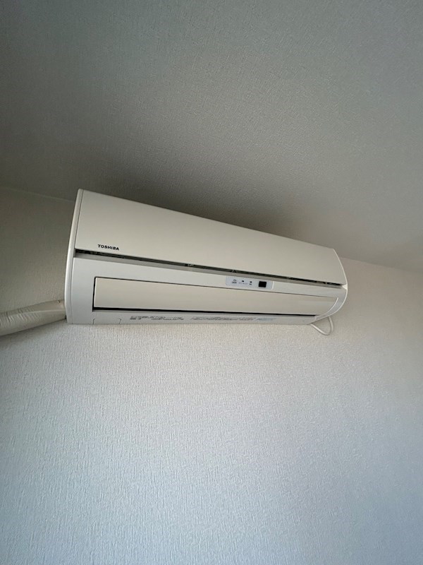 エクセレント上新6 その他5